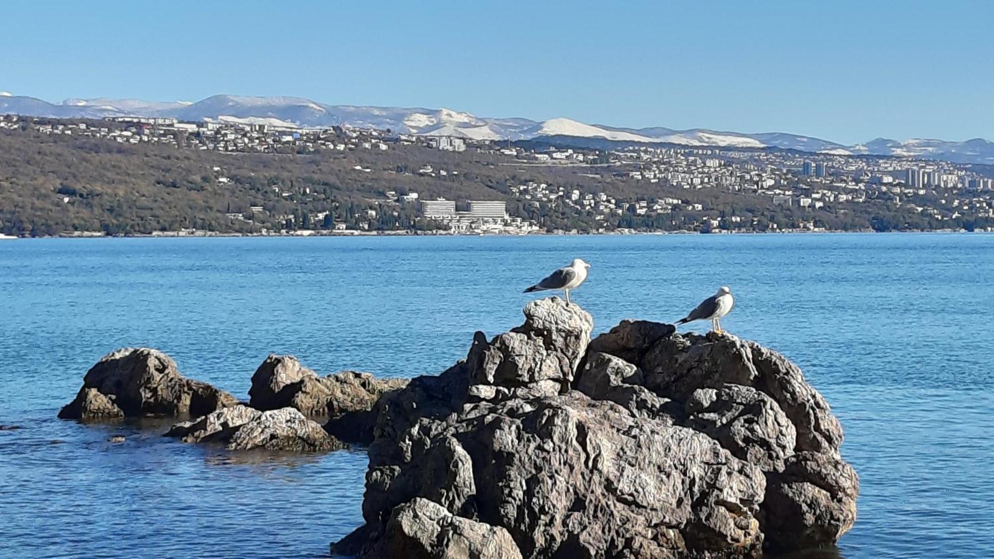 Apartman Dora Opatija Dış mekan fotoğraf